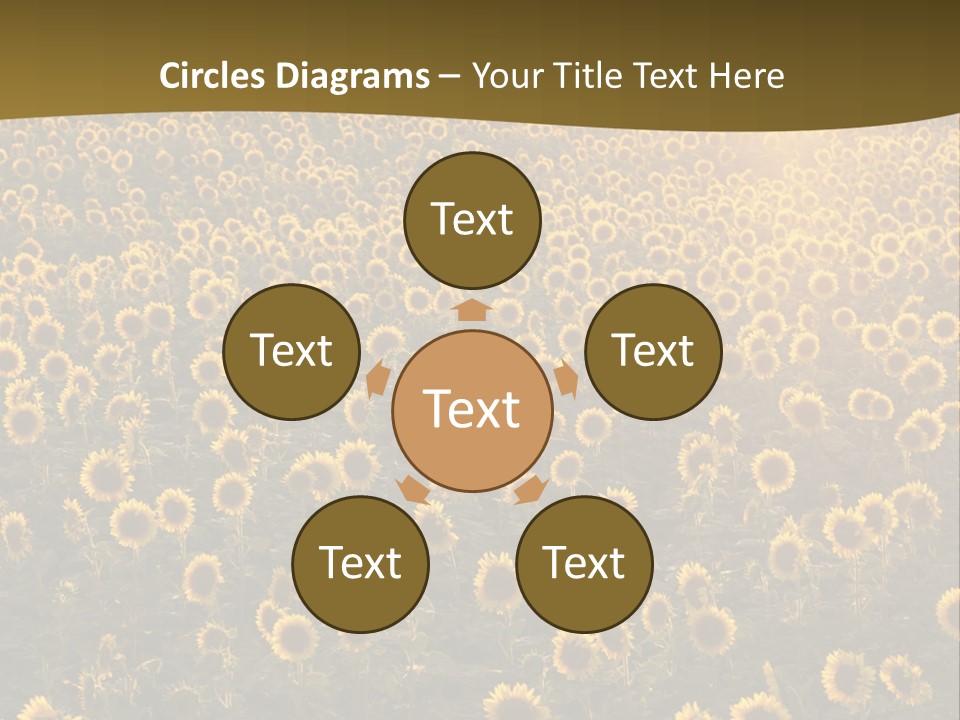 Agricultural Rural Sunshine PowerPoint Template