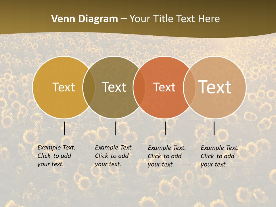 Agricultural Rural Sunshine PowerPoint Template