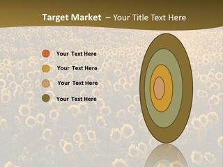 Agricultural Rural Sunshine PowerPoint Template