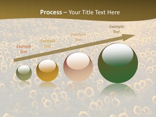 Agricultural Rural Sunshine PowerPoint Template
