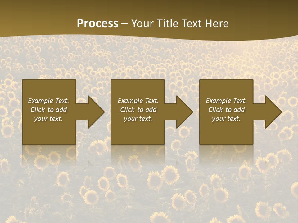 Agricultural Rural Sunshine PowerPoint Template