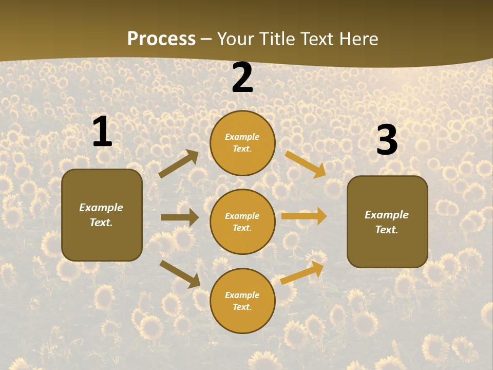 Agricultural Rural Sunshine PowerPoint Template