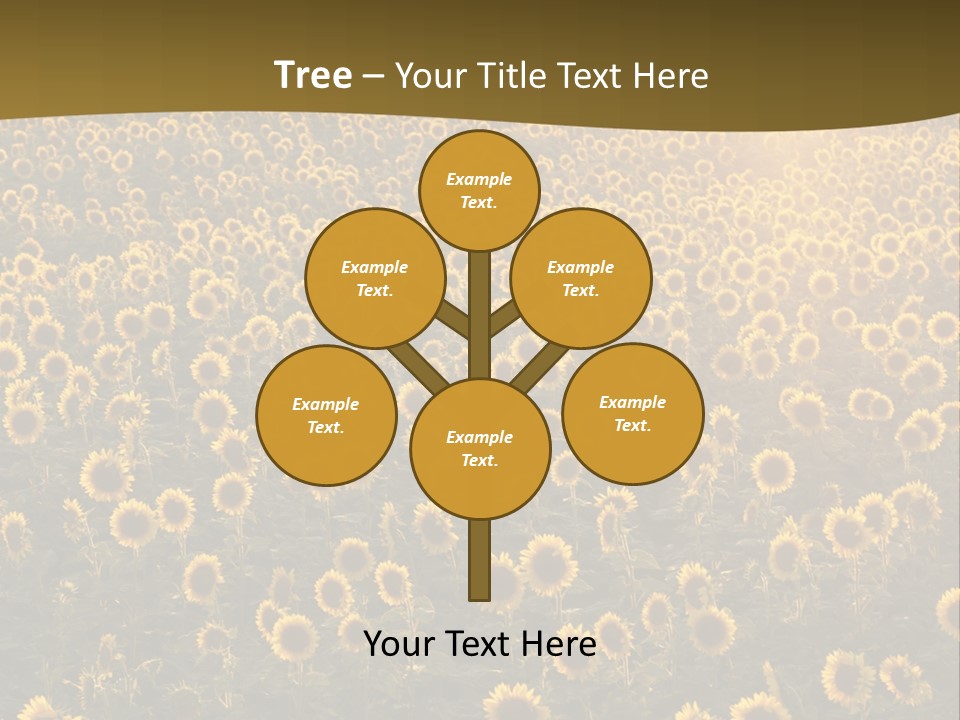 Agricultural Rural Sunshine PowerPoint Template