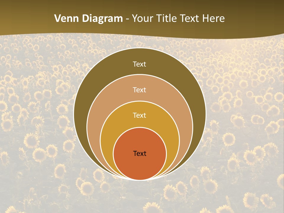 Agricultural Rural Sunshine PowerPoint Template