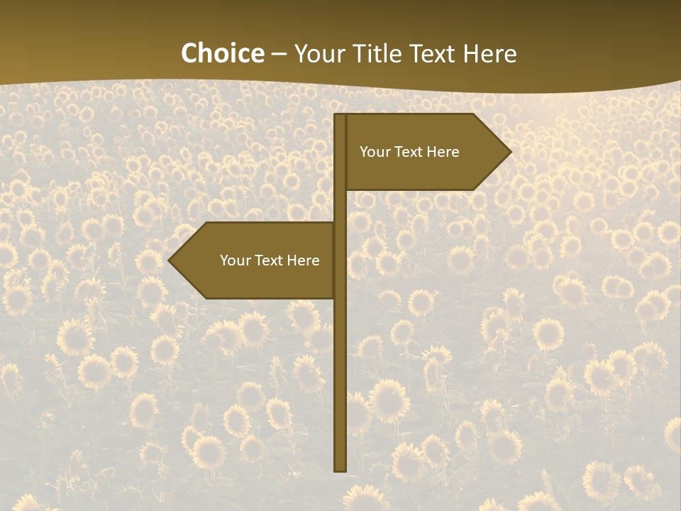 Agricultural Rural Sunshine PowerPoint Template
