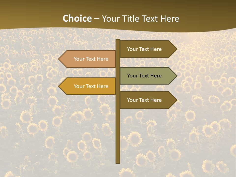 Agricultural Rural Sunshine PowerPoint Template