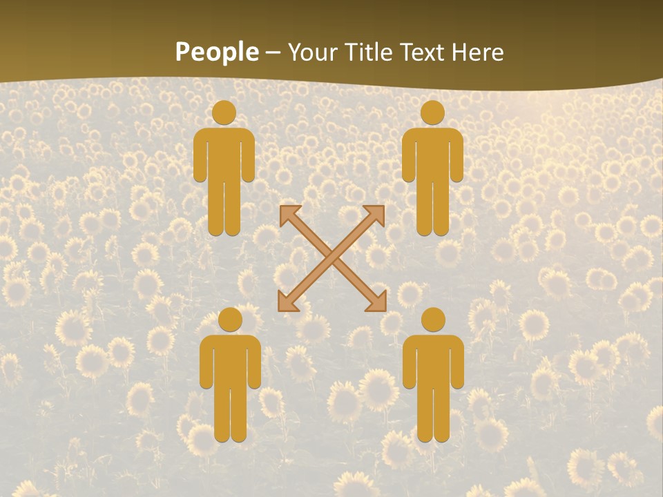 Agricultural Rural Sunshine PowerPoint Template