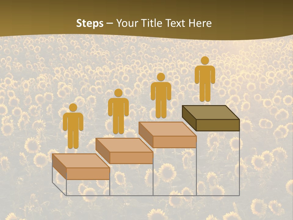 Agricultural Rural Sunshine PowerPoint Template