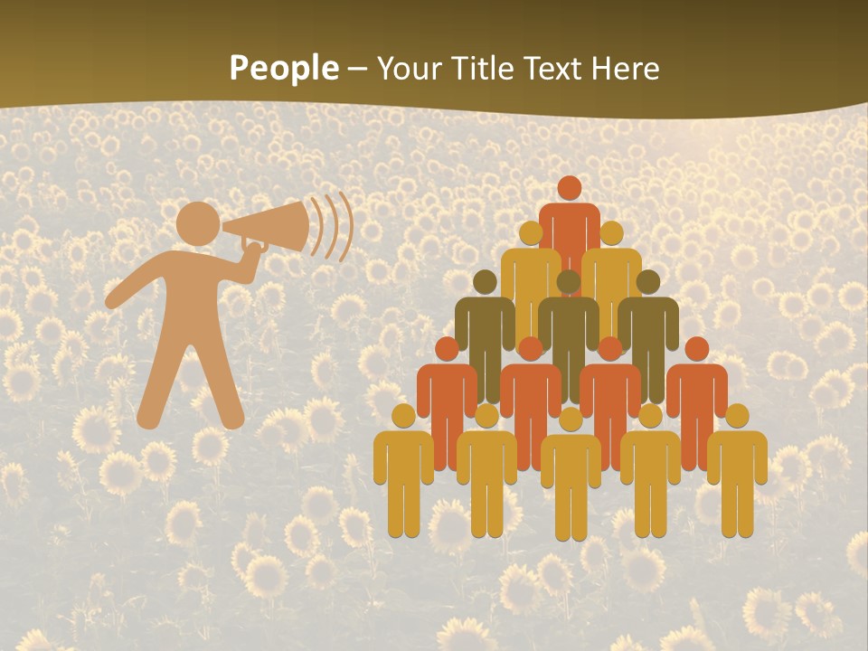 Agricultural Rural Sunshine PowerPoint Template