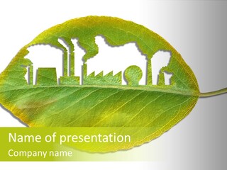 Dry Tree Waste PowerPoint Template