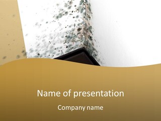 A Corner Of A Room With Moldy Walls PowerPoint Template