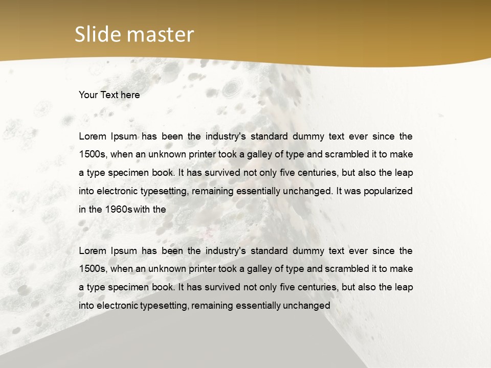 A Corner Of A Room With Moldy Walls PowerPoint Template