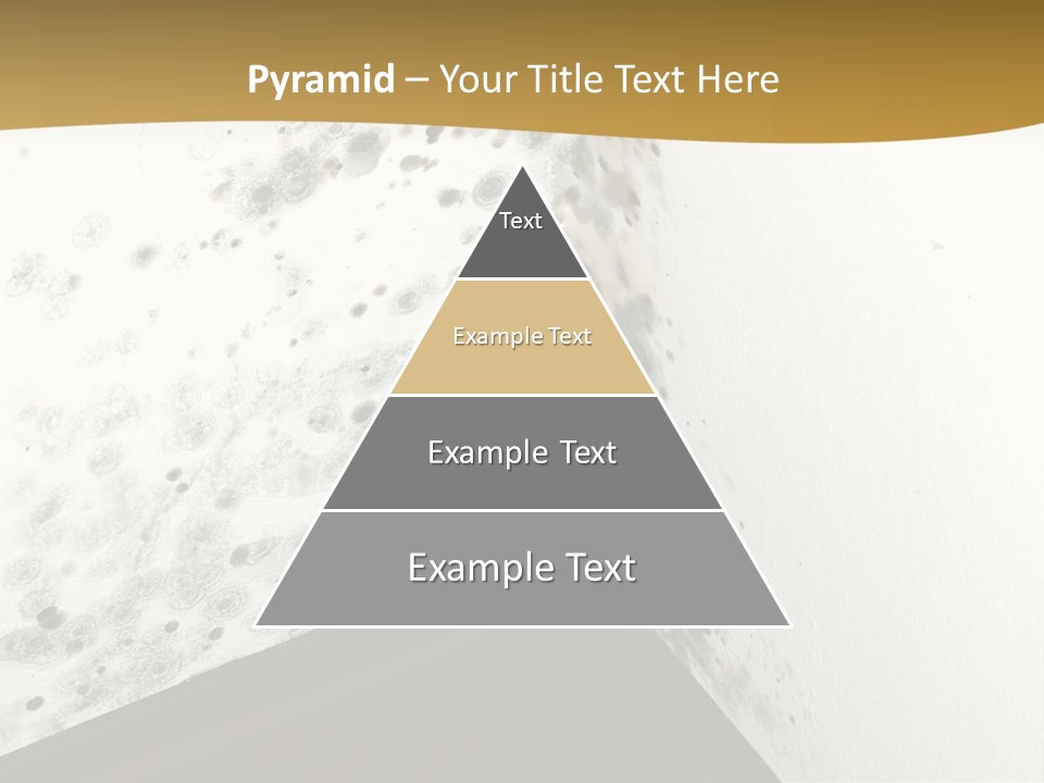 A Corner Of A Room With Moldy Walls PowerPoint Template