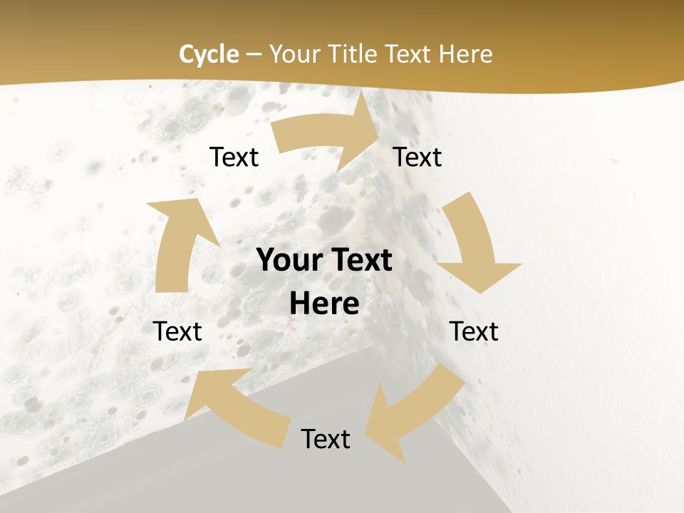 A Corner Of A Room With Moldy Walls PowerPoint Template