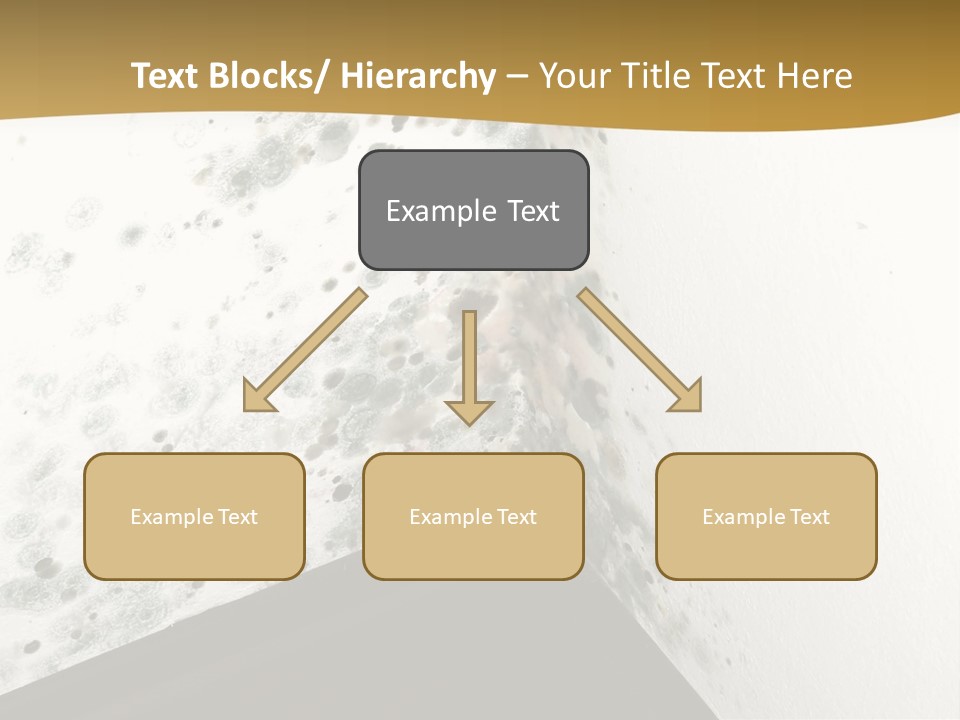 A Corner Of A Room With Moldy Walls PowerPoint Template