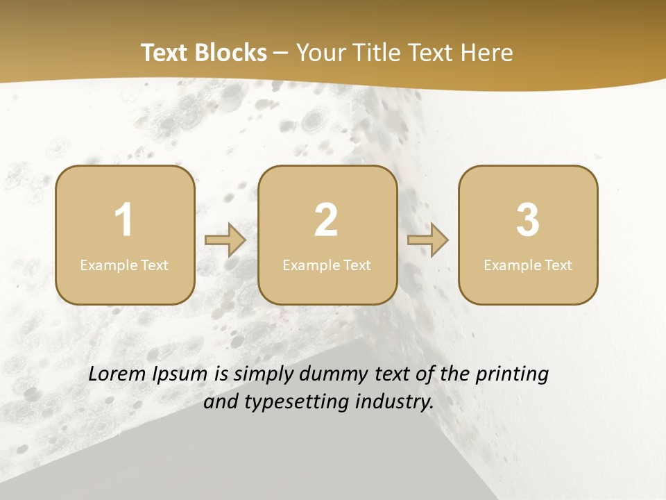 A Corner Of A Room With Moldy Walls PowerPoint Template