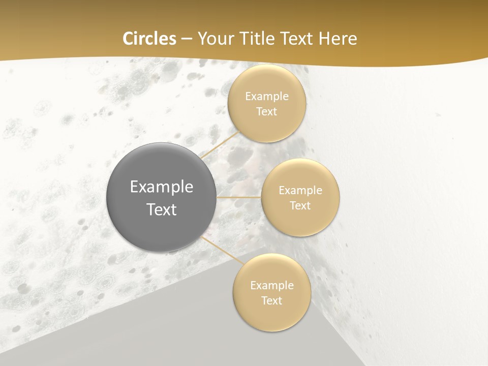 A Corner Of A Room With Moldy Walls PowerPoint Template