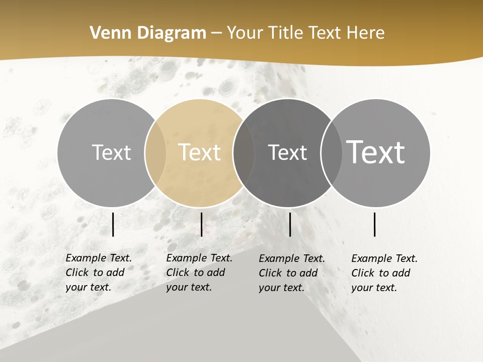 A Corner Of A Room With Moldy Walls PowerPoint Template