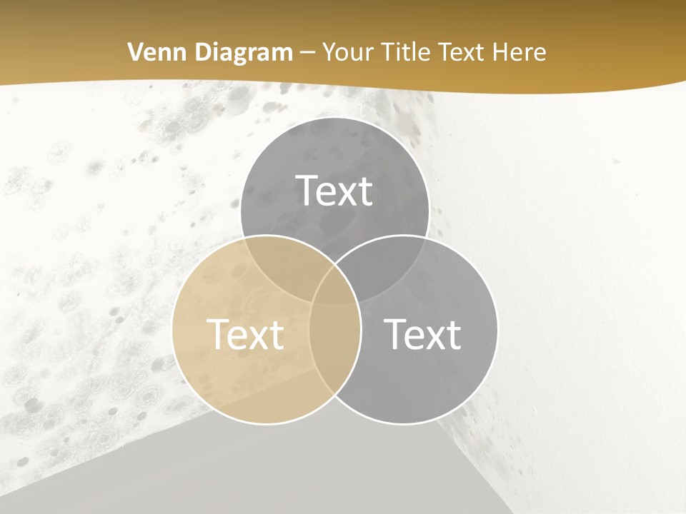 A Corner Of A Room With Moldy Walls PowerPoint Template