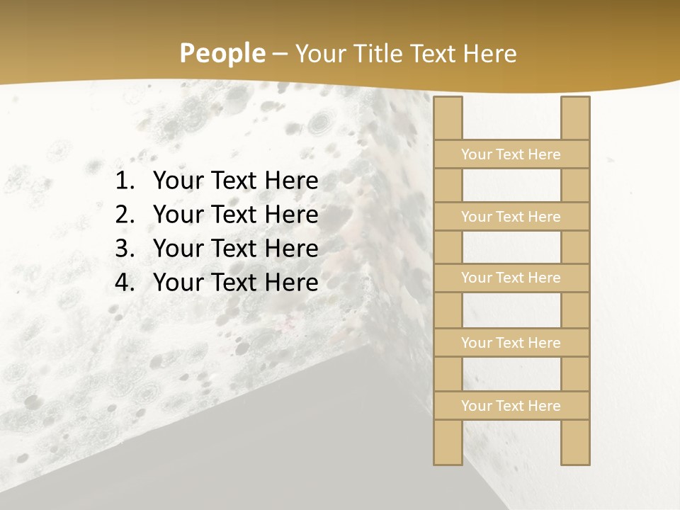 A Corner Of A Room With Moldy Walls PowerPoint Template