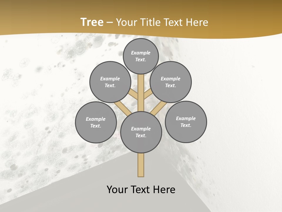 A Corner Of A Room With Moldy Walls PowerPoint Template