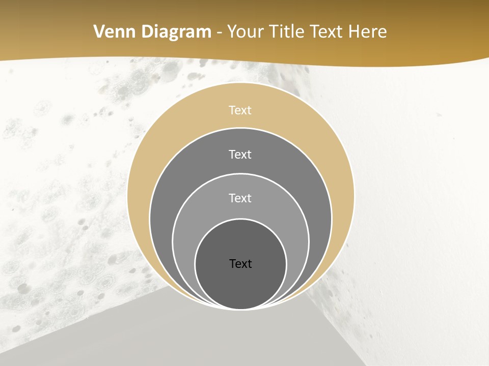 A Corner Of A Room With Moldy Walls PowerPoint Template