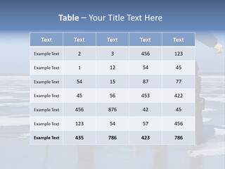 Success Fisherman Ladle PowerPoint Template