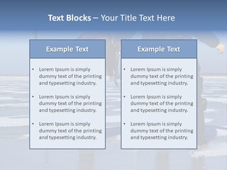 Success Fisherman Ladle PowerPoint Template