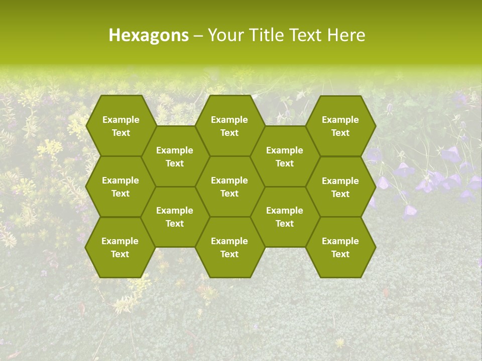 Plants Flower Together PowerPoint Template