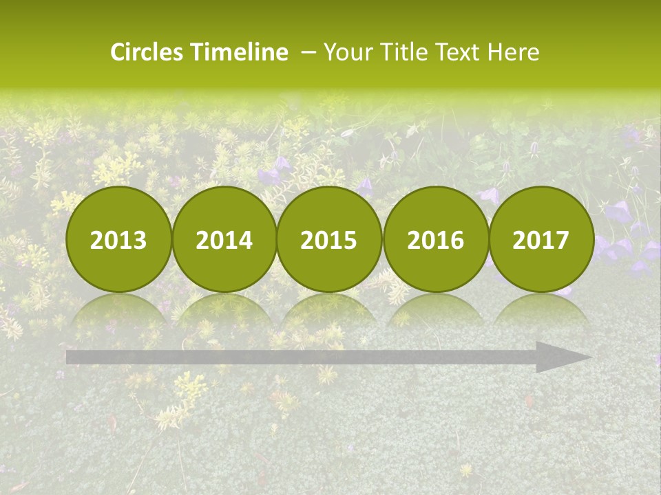 Plants Flower Together PowerPoint Template