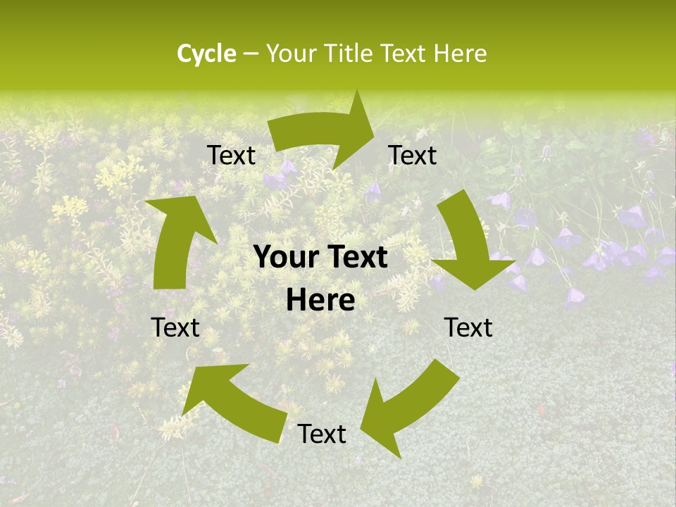 Plants Flower Together PowerPoint Template