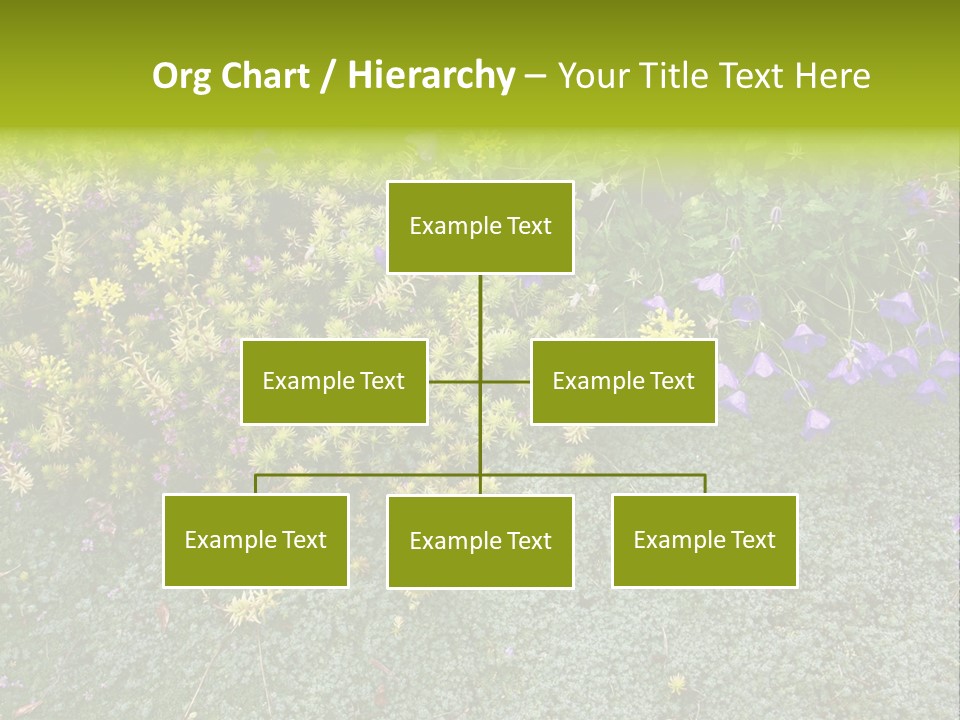Plants Flower Together PowerPoint Template