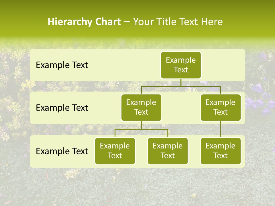 Plants Flower Together PowerPoint Template