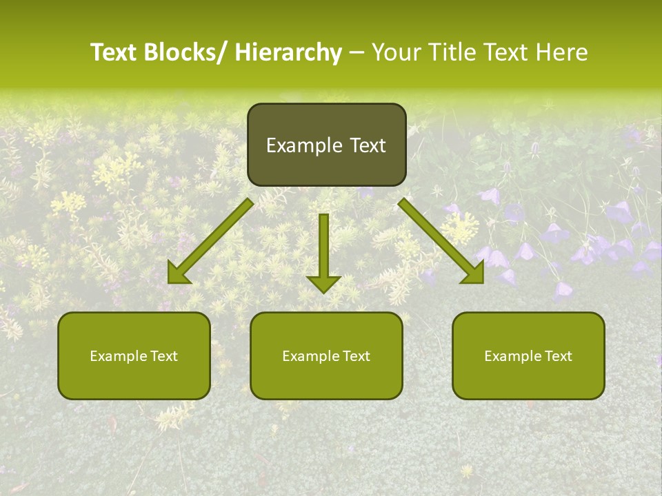 Plants Flower Together PowerPoint Template