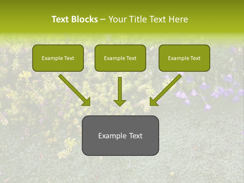 Plants Flower Together PowerPoint Template