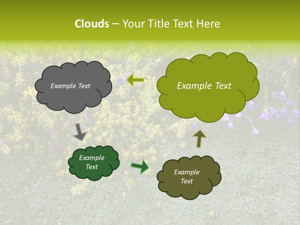 Plants Flower Together PowerPoint Template