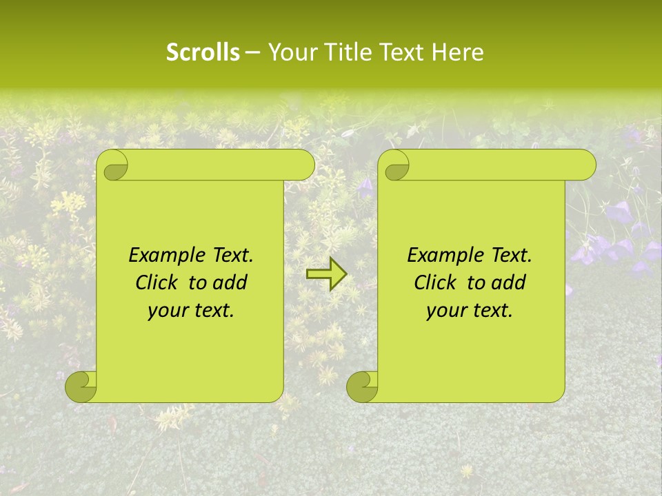 Plants Flower Together PowerPoint Template