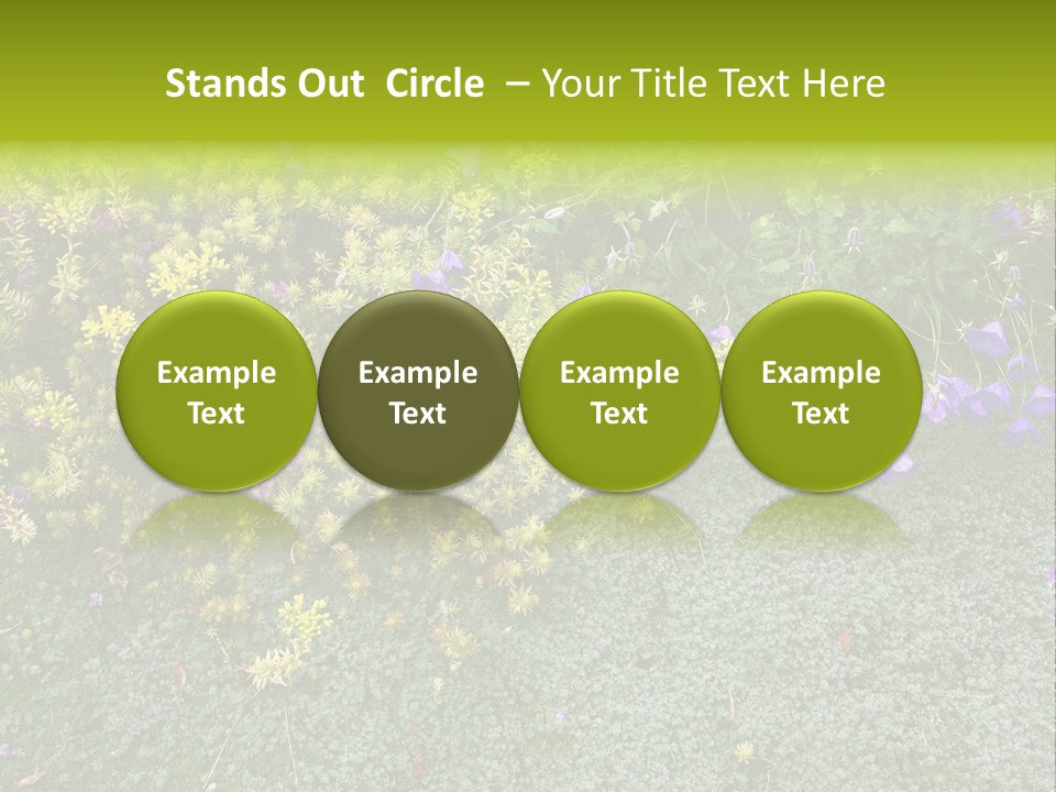 Plants Flower Together PowerPoint Template