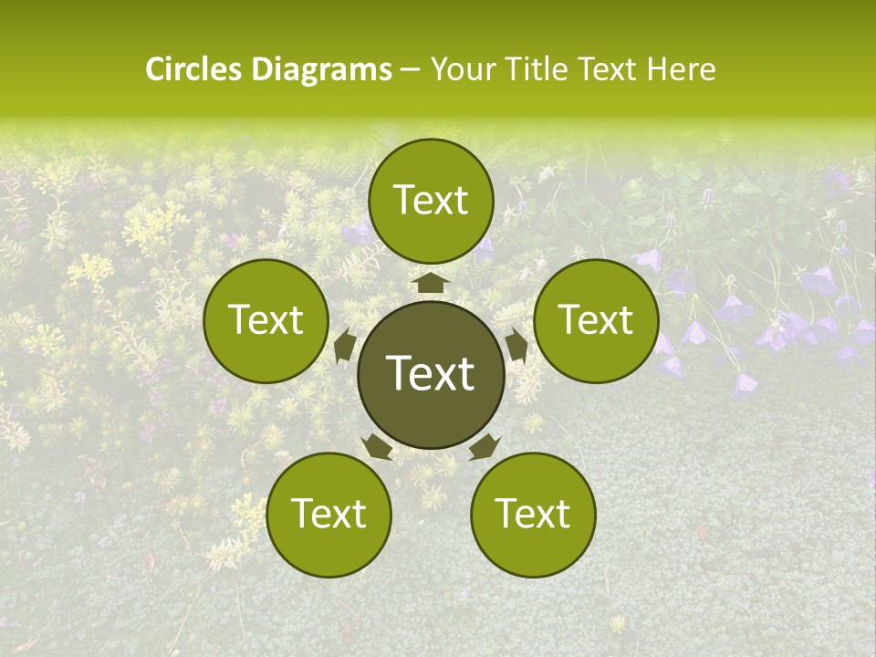 Plants Flower Together PowerPoint Template