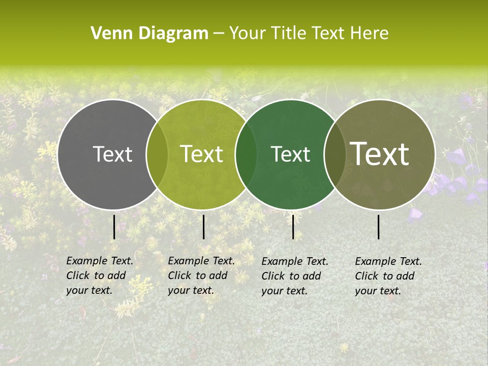 Plants Flower Together PowerPoint Template