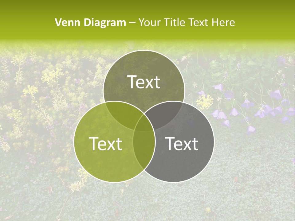 Plants Flower Together PowerPoint Template