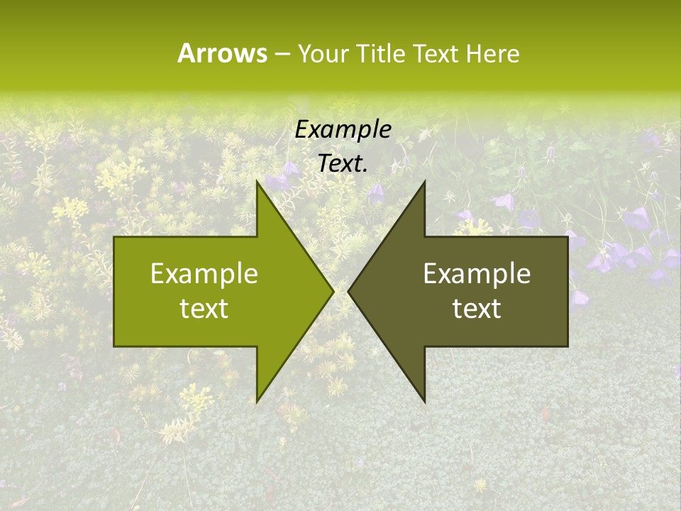 Plants Flower Together PowerPoint Template