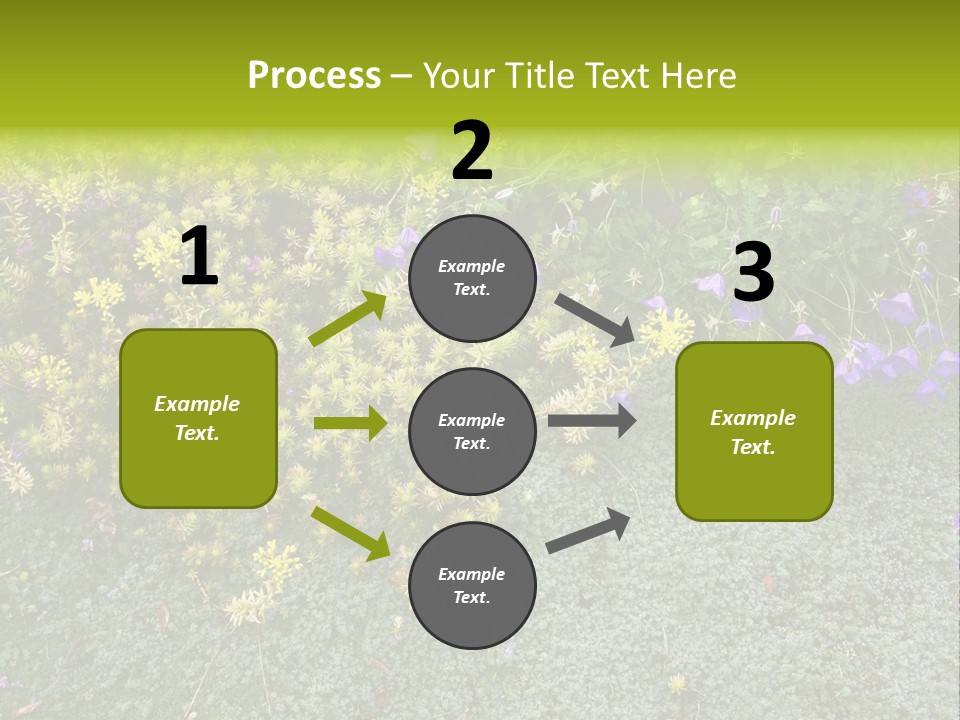 Plants Flower Together PowerPoint Template