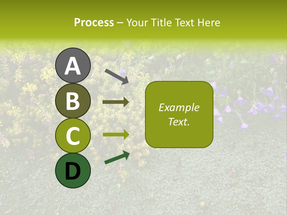 Plants Flower Together PowerPoint Template