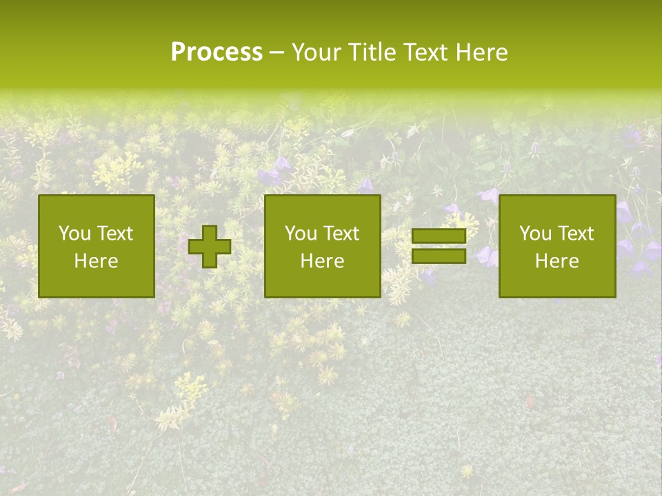 Plants Flower Together PowerPoint Template