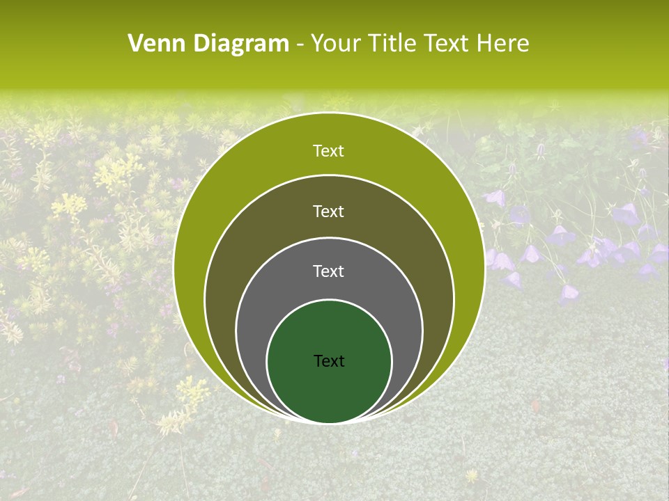 Plants Flower Together PowerPoint Template