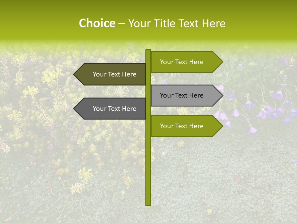 Plants Flower Together PowerPoint Template