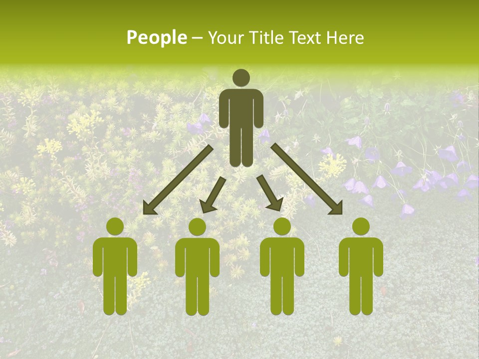 Plants Flower Together PowerPoint Template