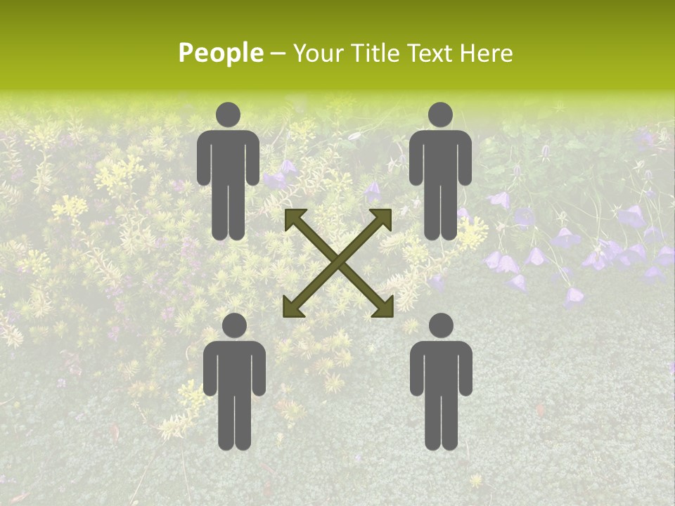 Plants Flower Together PowerPoint Template