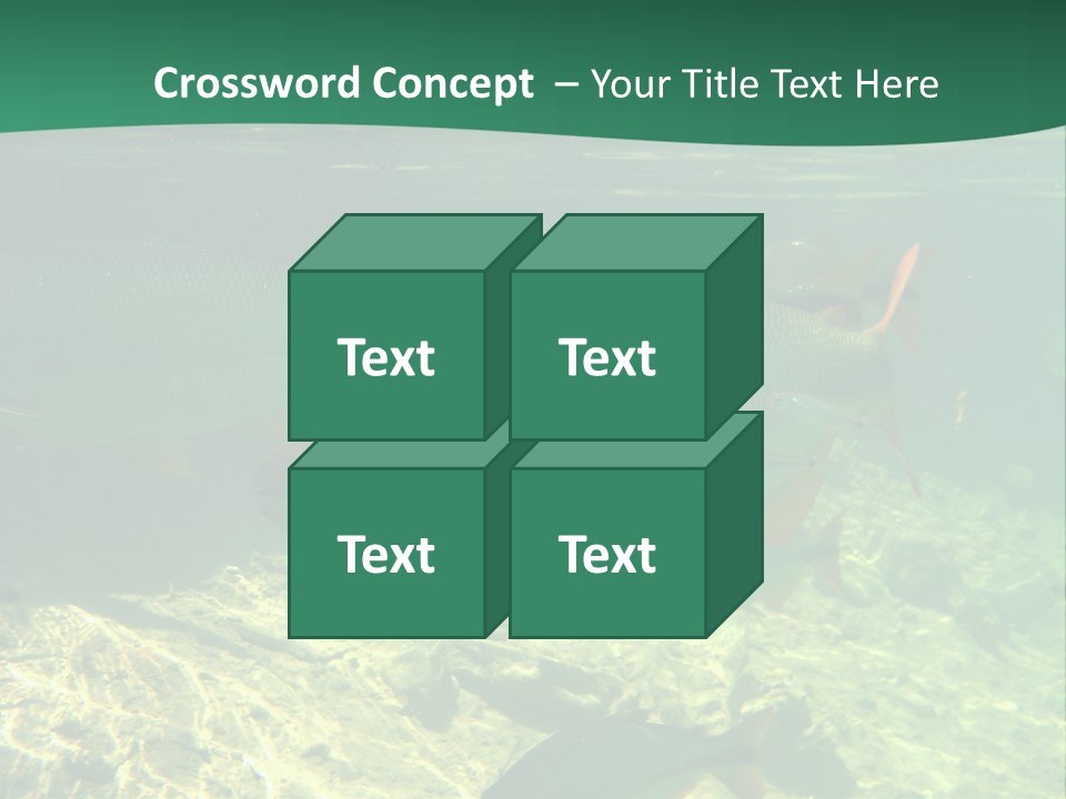Outdoor Diving Wall Picture PowerPoint Template